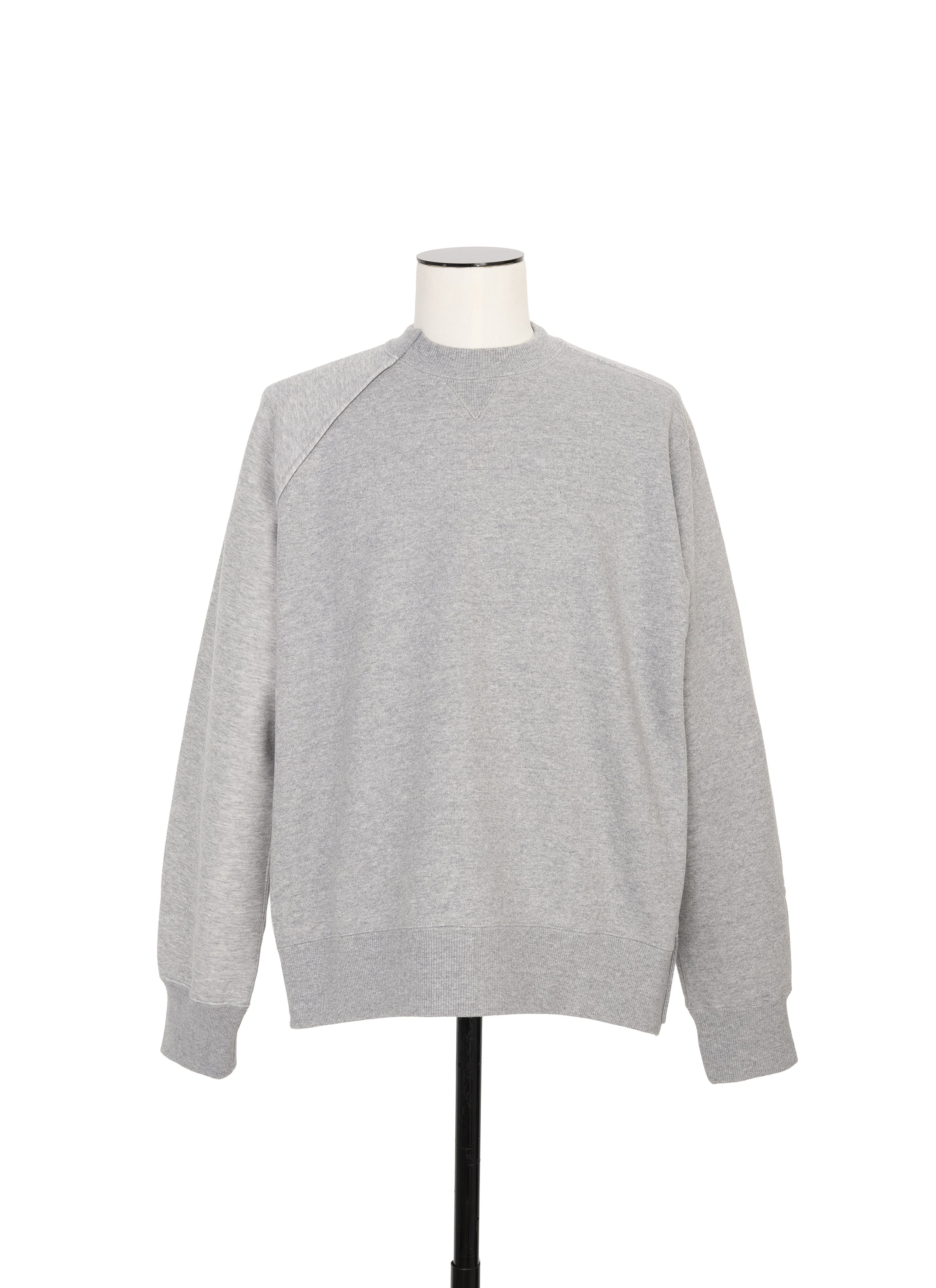 Sponge Sweat Pullover