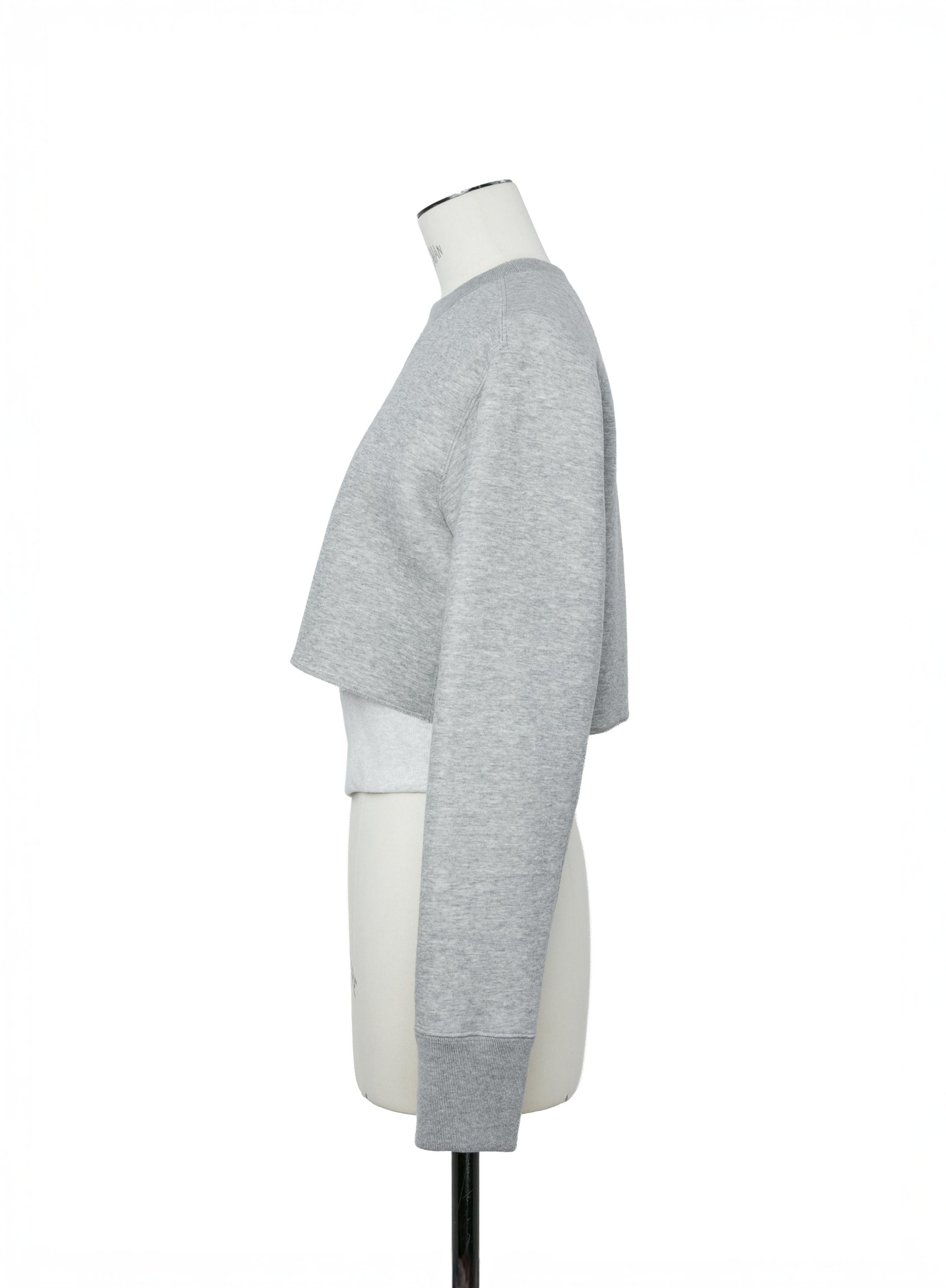 Sponge Sweat Pullover