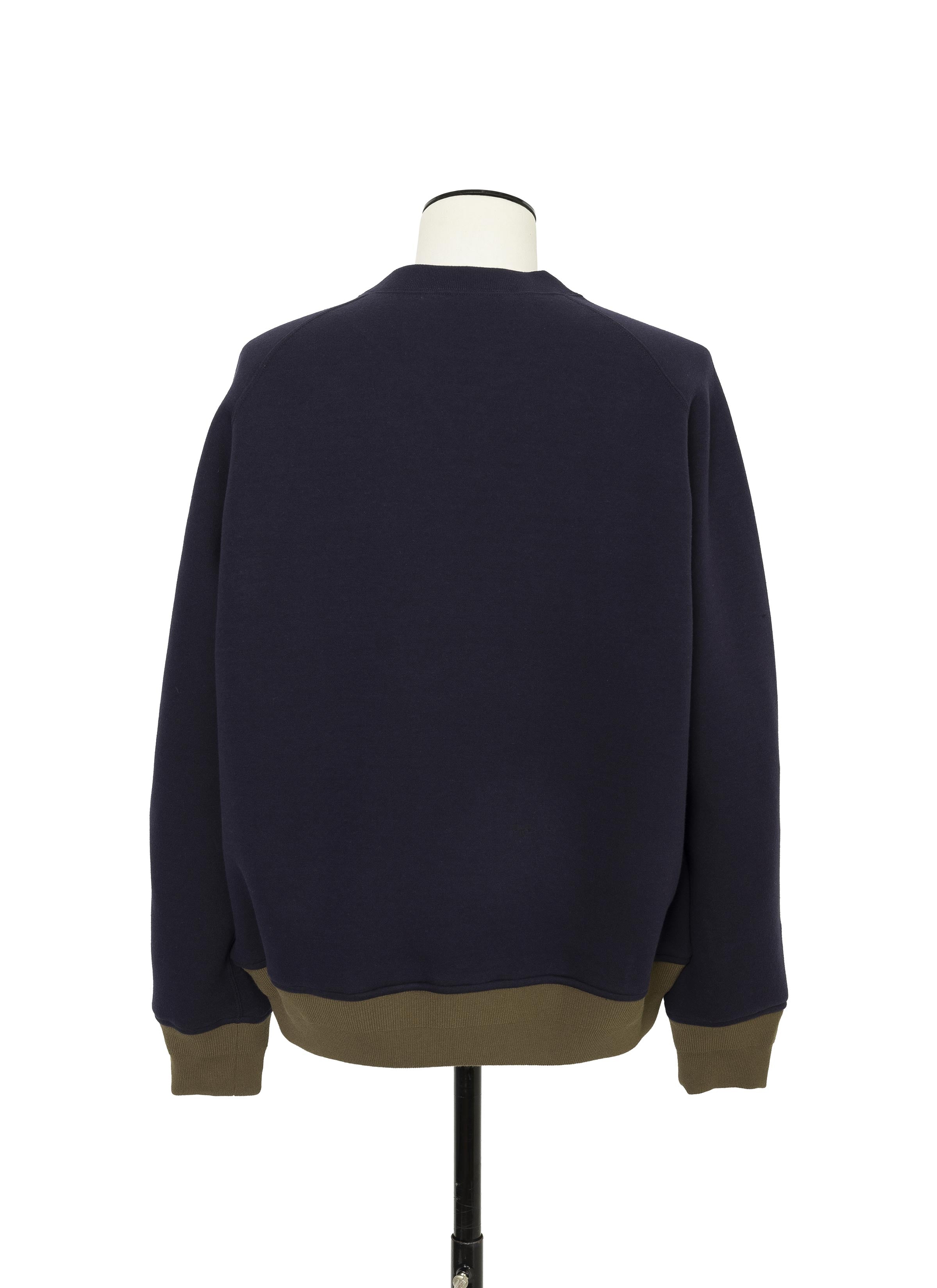 sponge-sweat-pullover