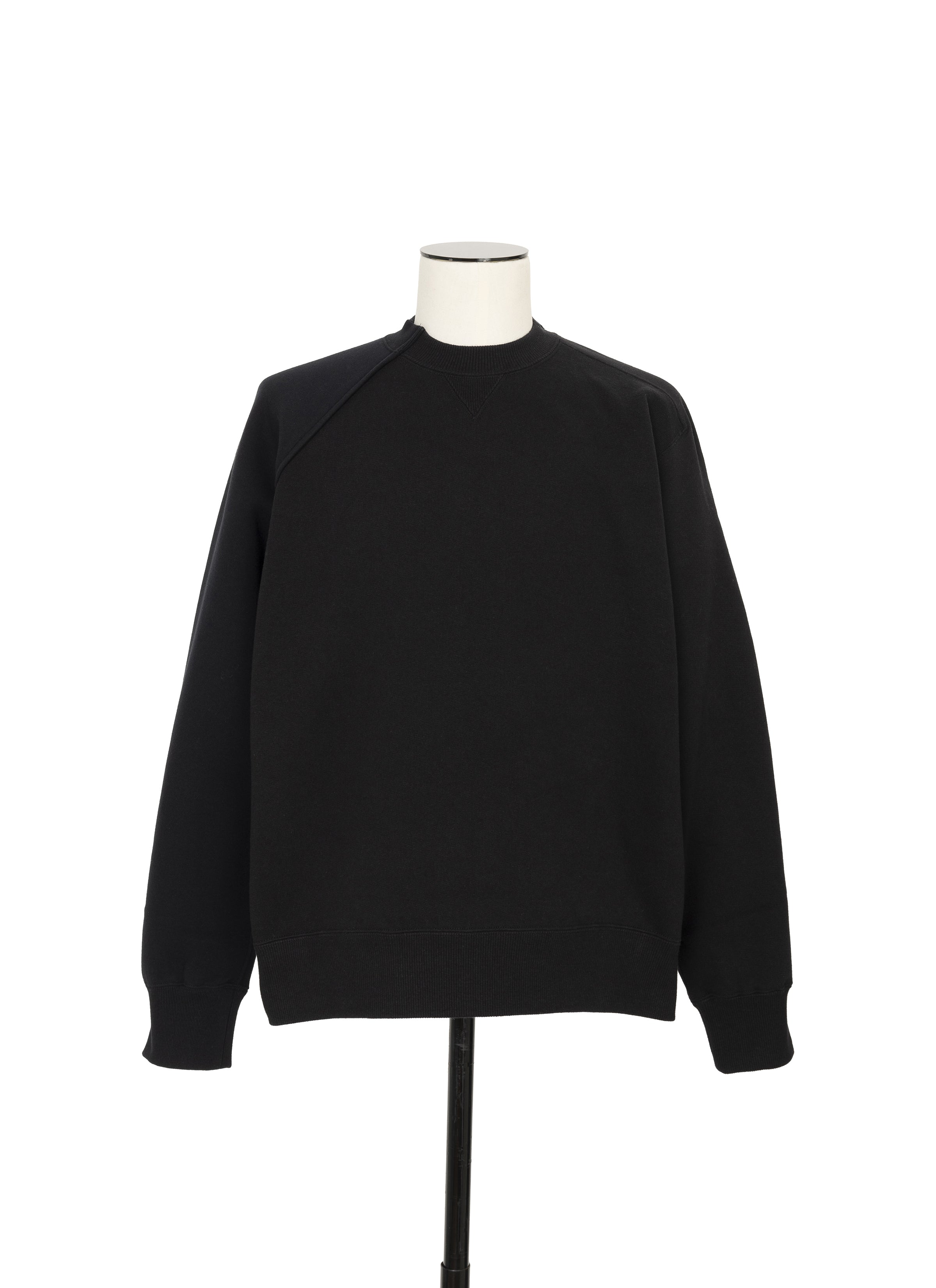 Sponge Sweat Pullover