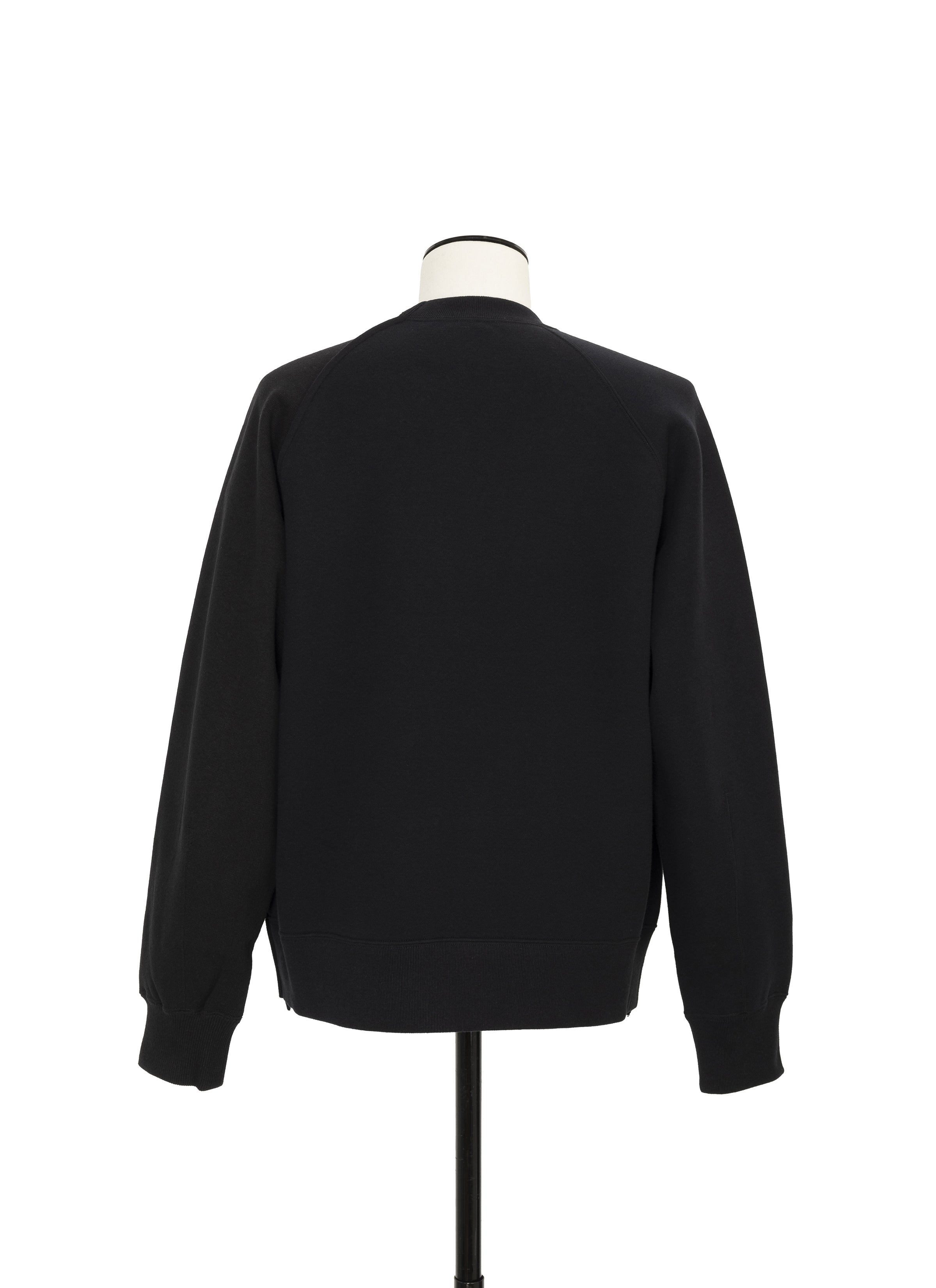 Sponge Sweat Pullover