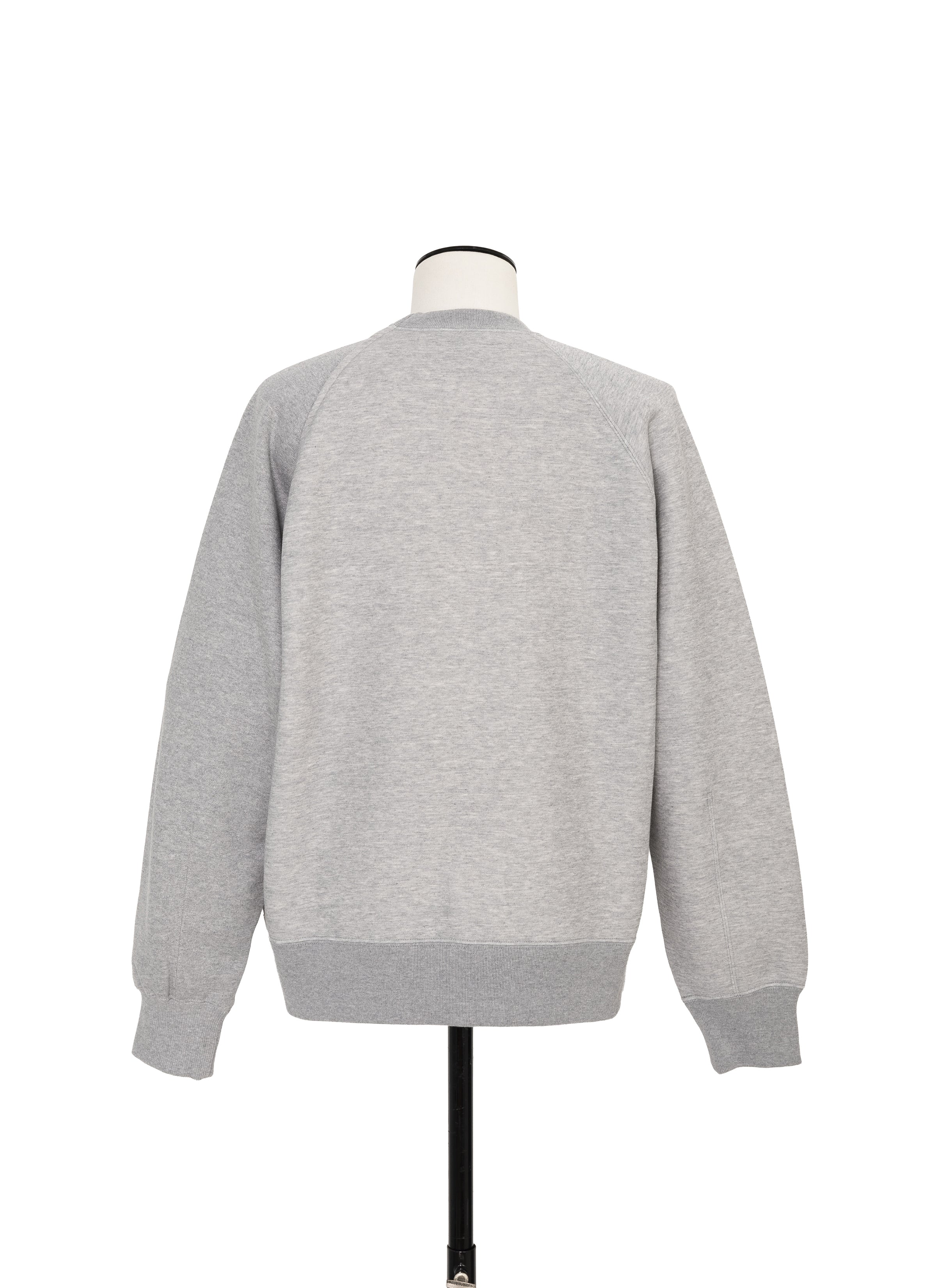 Sponge Sweat Pullover