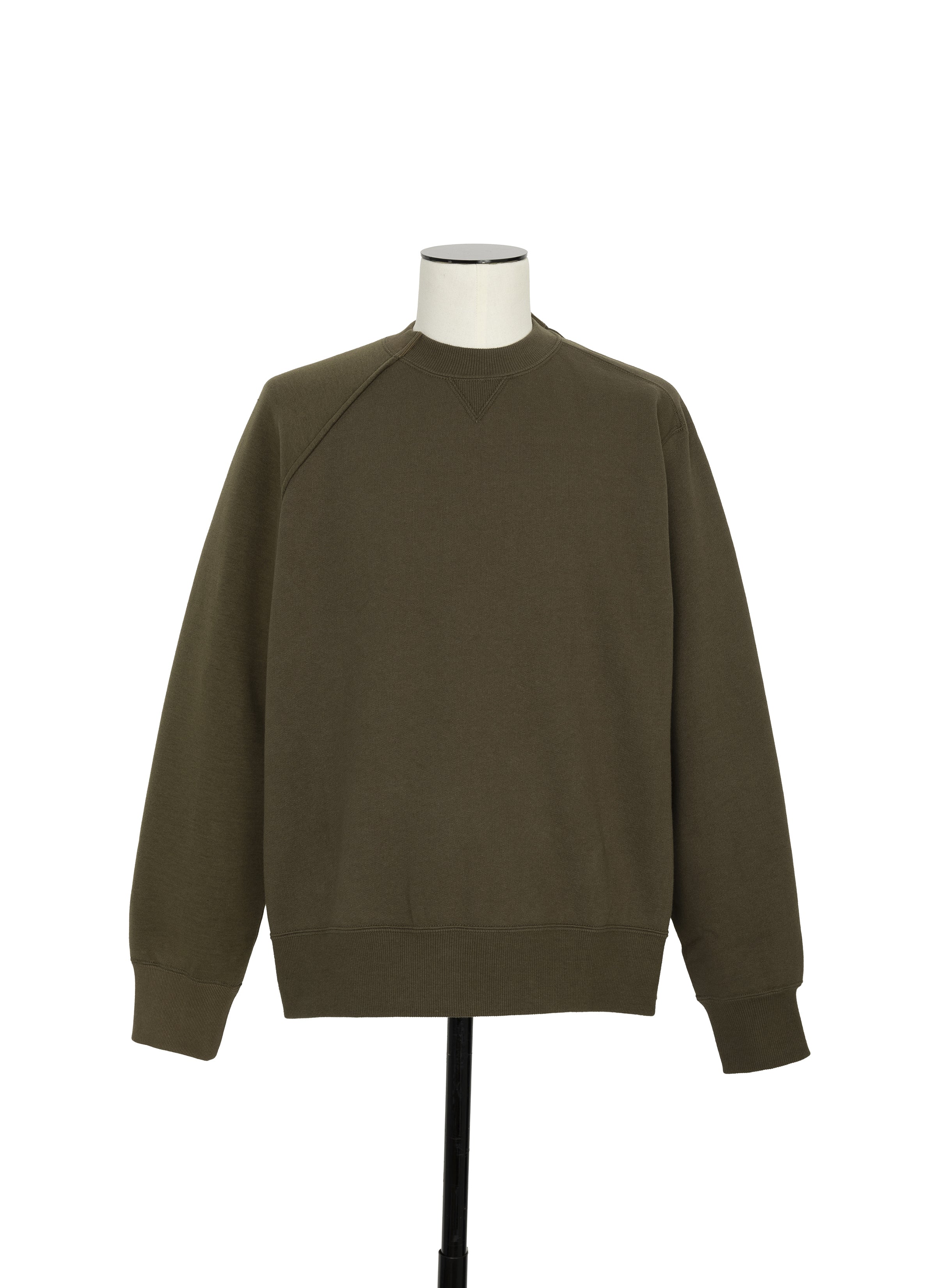 Sponge Sweat Pullover